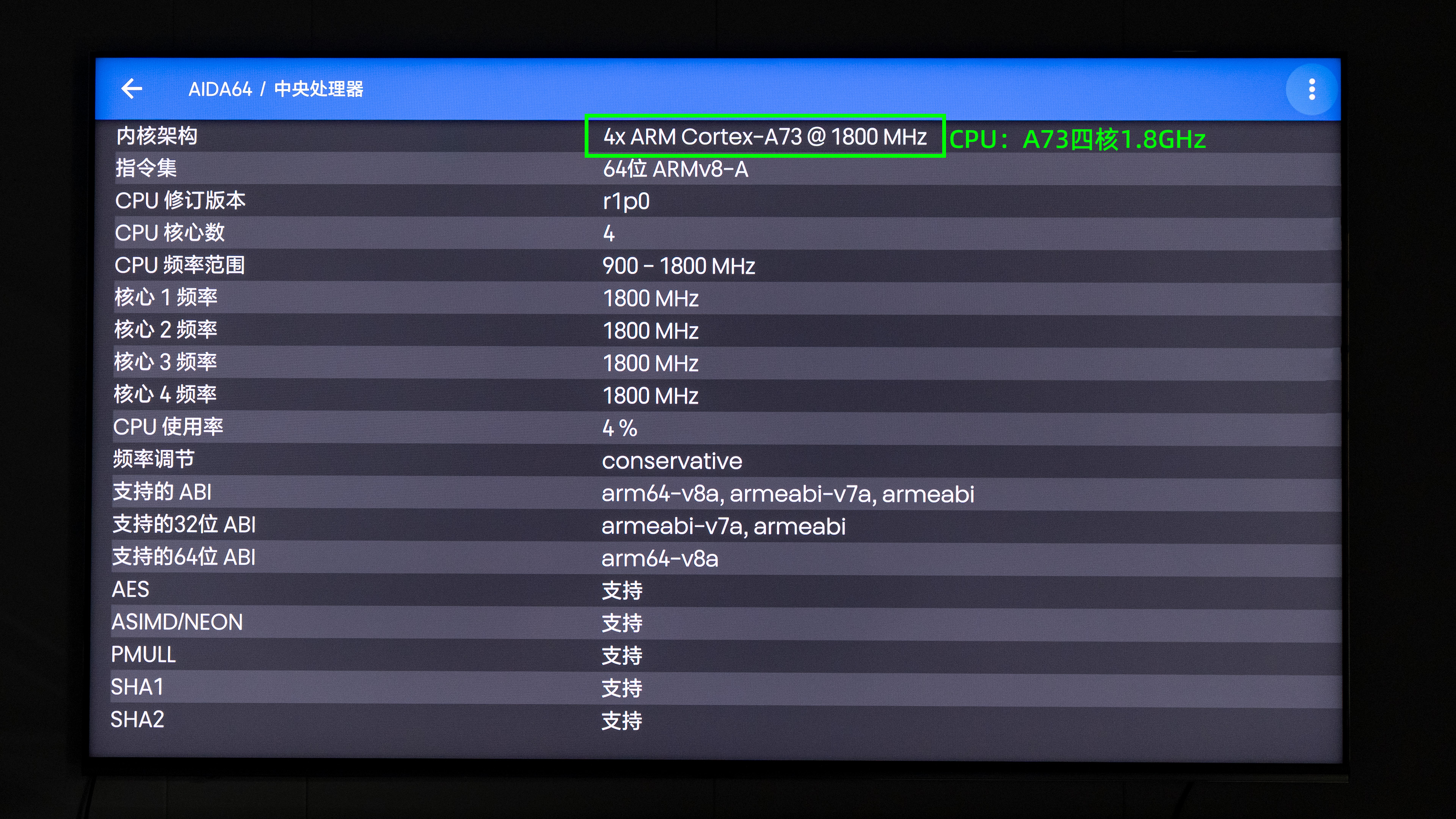 12_AIDA64_CPU.jpg